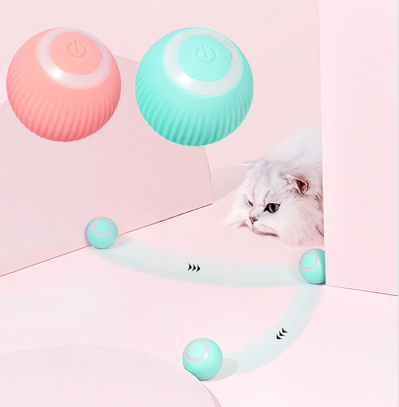 purrfect playmate - electric cat ball